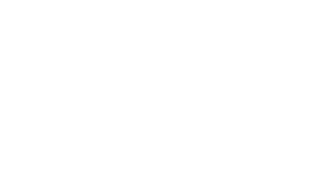 The Butterfly
