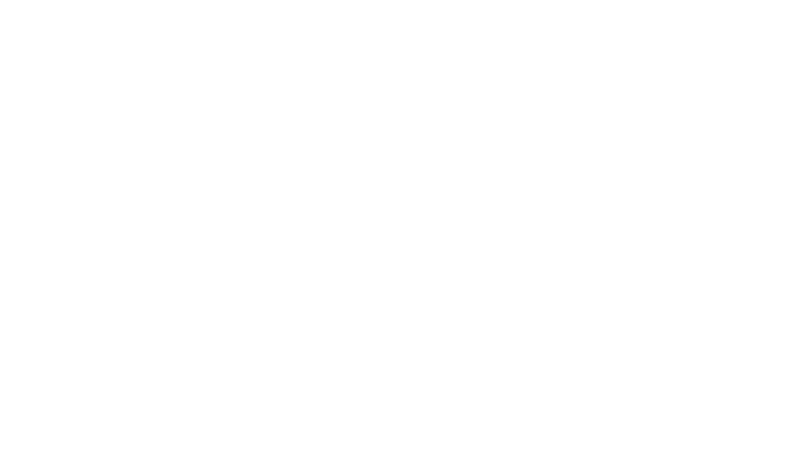 The Butterfly | Marketing agency